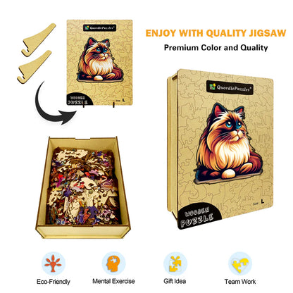 Vibrant whimsy ragdoll