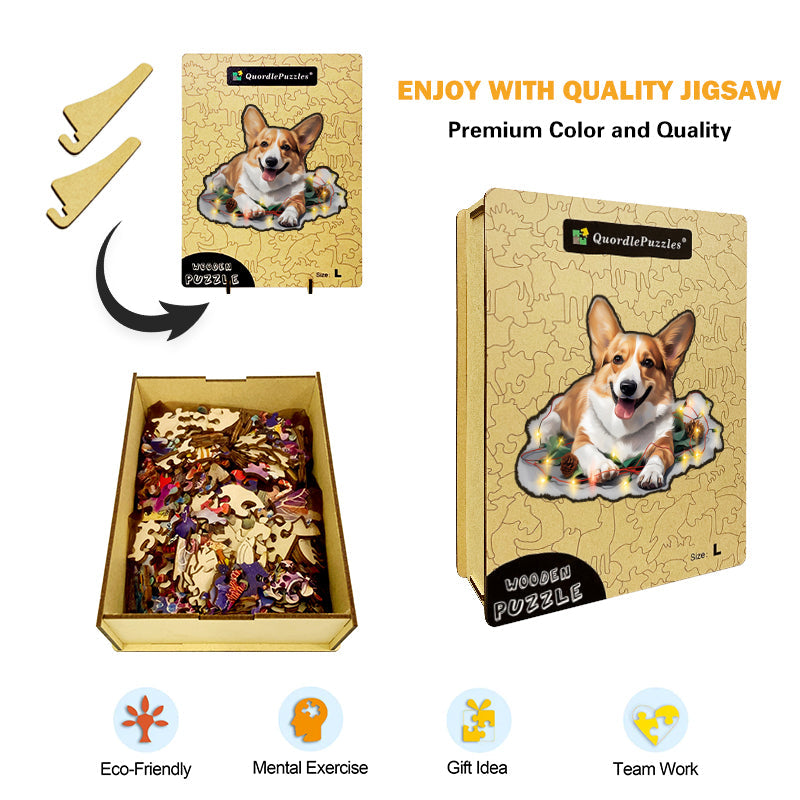 Roztomilý pes pembroke welsh corgi