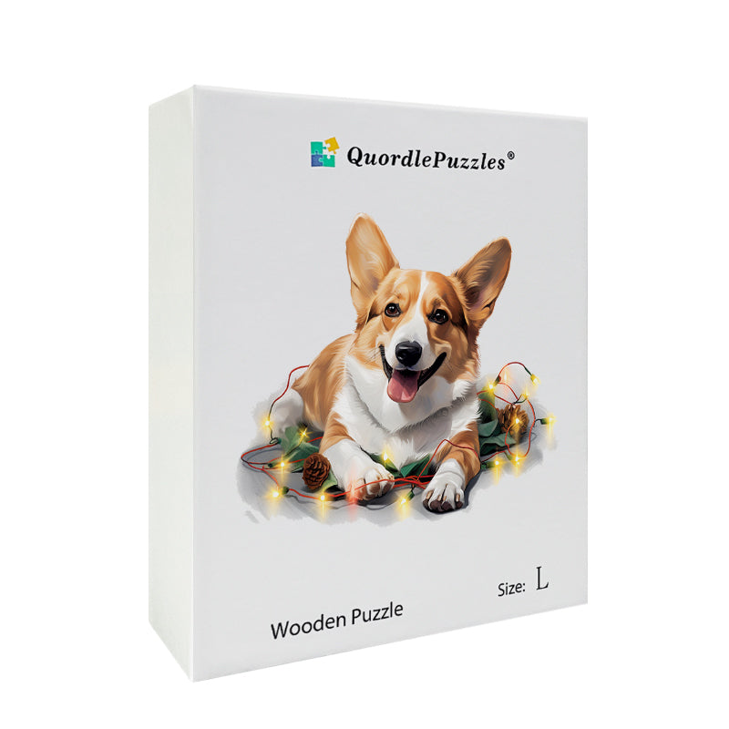 Roztomilý pes pembroke welsh corgi
