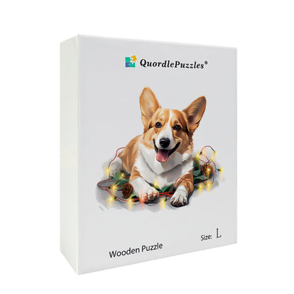 Roztomilý pes pembroke welsh corgi