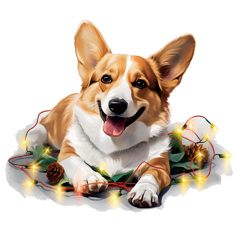 Roztomilý pes pembroke welsh corgi