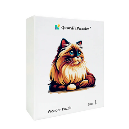 Vibrant whimsy ragdoll